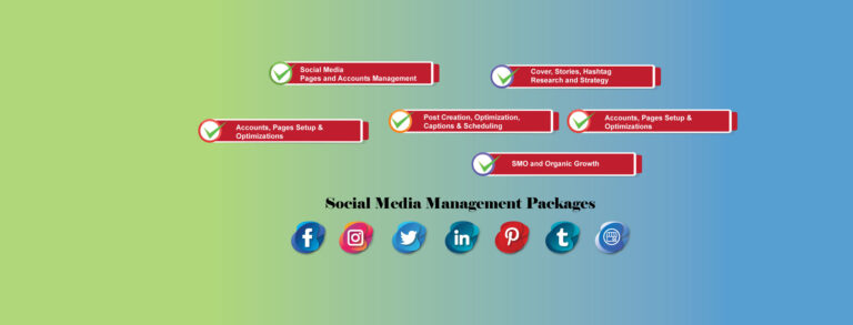 Comparing-Social-Media-Management-Packages-A-Holinex-Review-Blog's web banner of Holinex Digital Marketing Agency