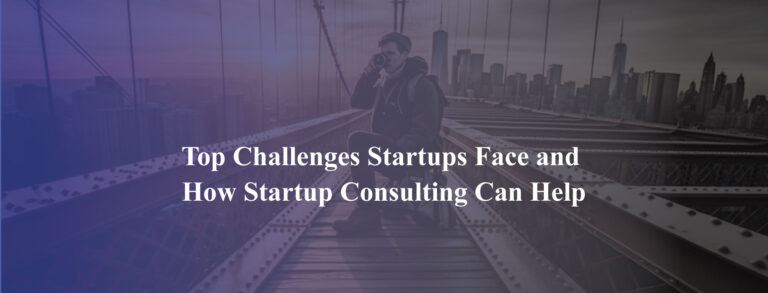Top-Challenges-Startups-Face-and-How-Startup-Consulting-Can-Help-Blog's web banner of Holinex Digital Marketing Agency