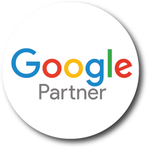 Google-Partner-logo-on-Holinex-1