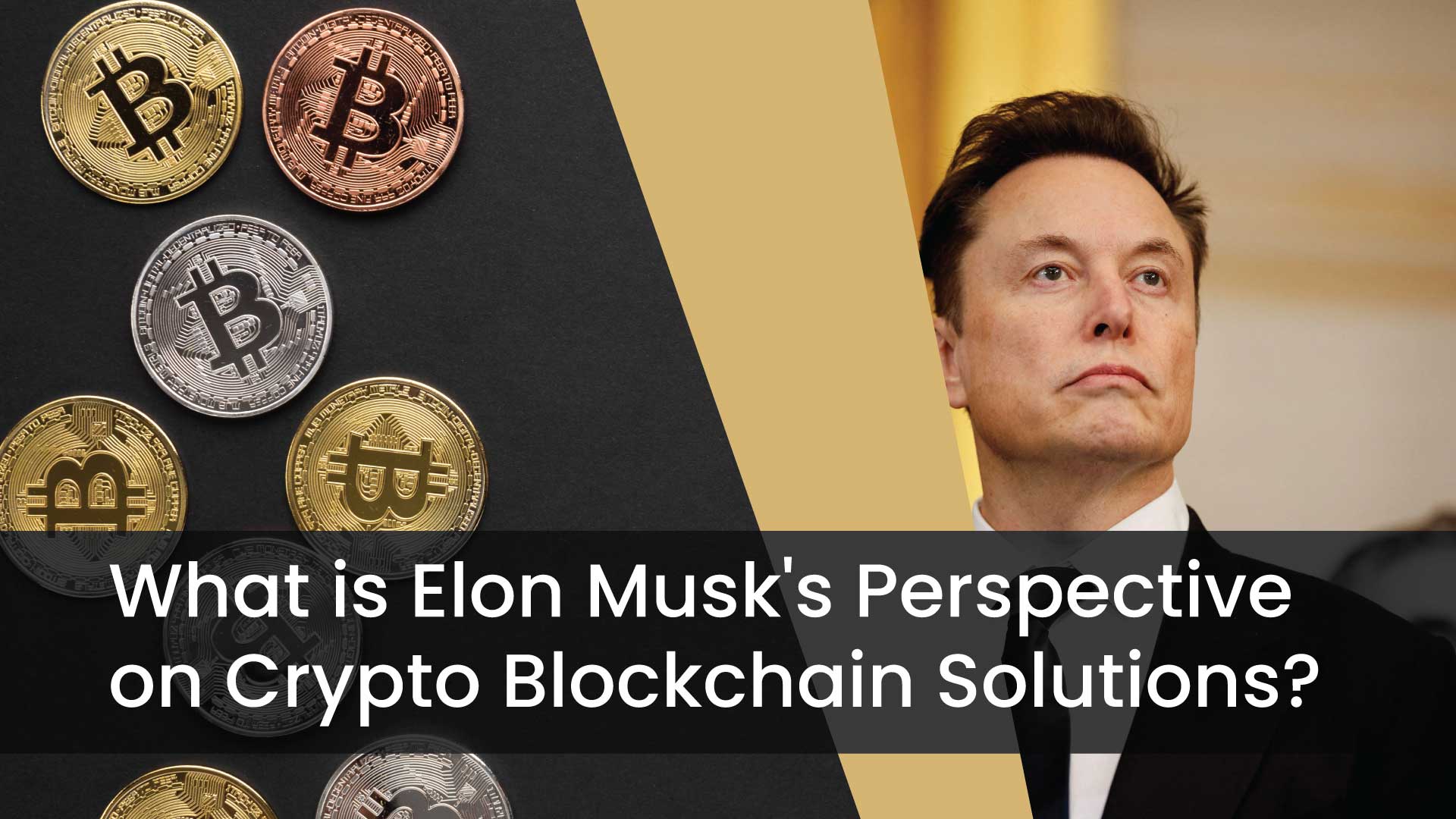 Blog-banner-of-What-is-Elon-Musk's-Perspective-on-Crypto-Blockchain-Solutions-published-from-Holinex-Digital-marketing-Agency