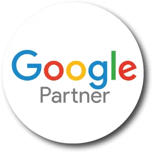 Google-Partner-logo-on-Holinex-1